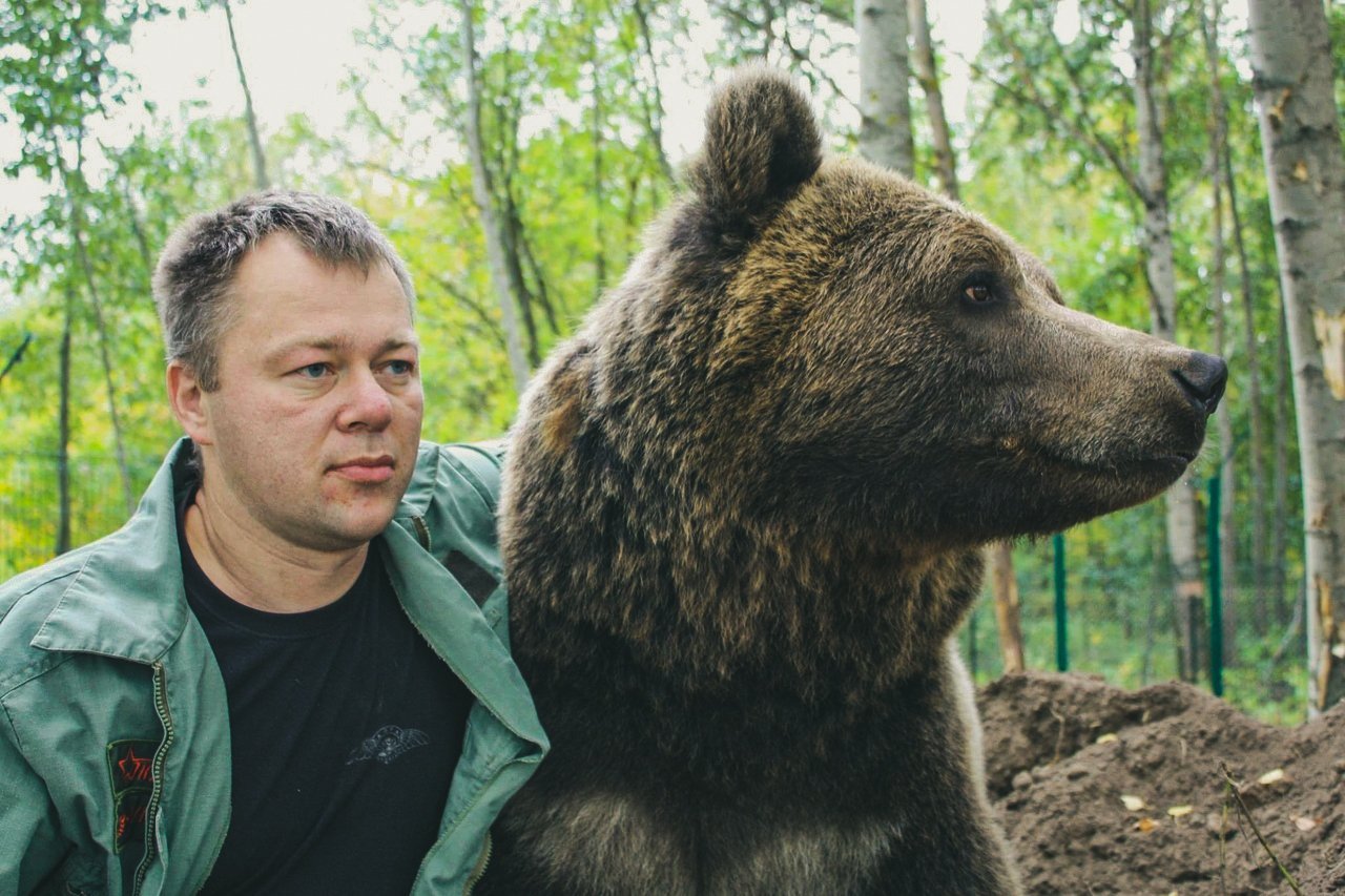 Медвежонок Мансур поселился на аэродроме